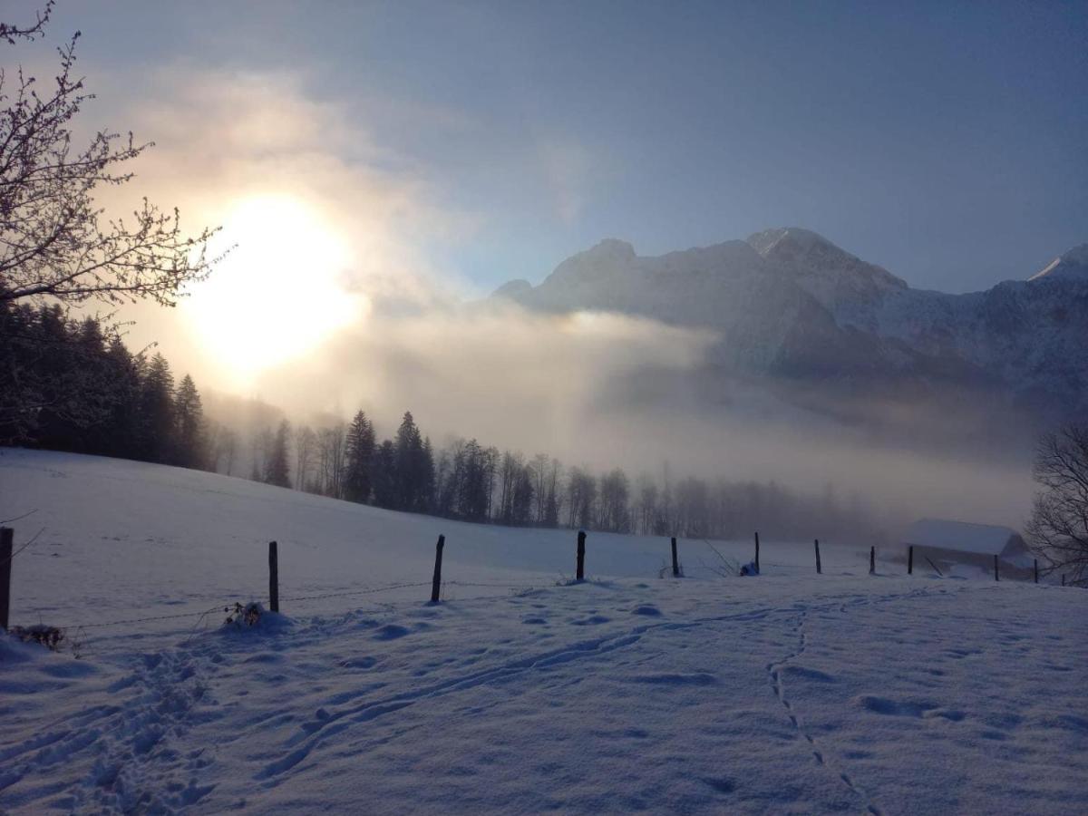 Apartament Andexlinger *
