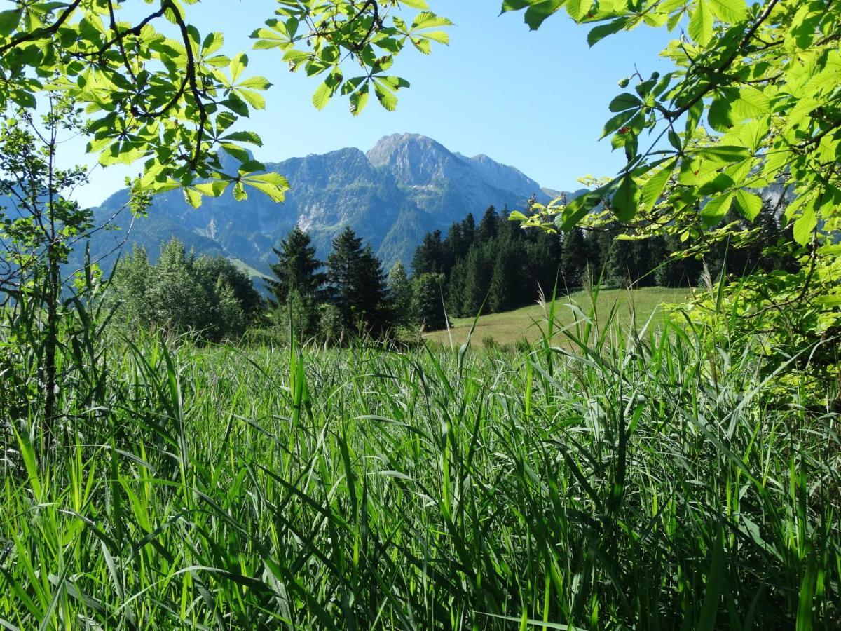 Apartament Andexlinger